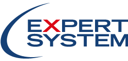 Expert System