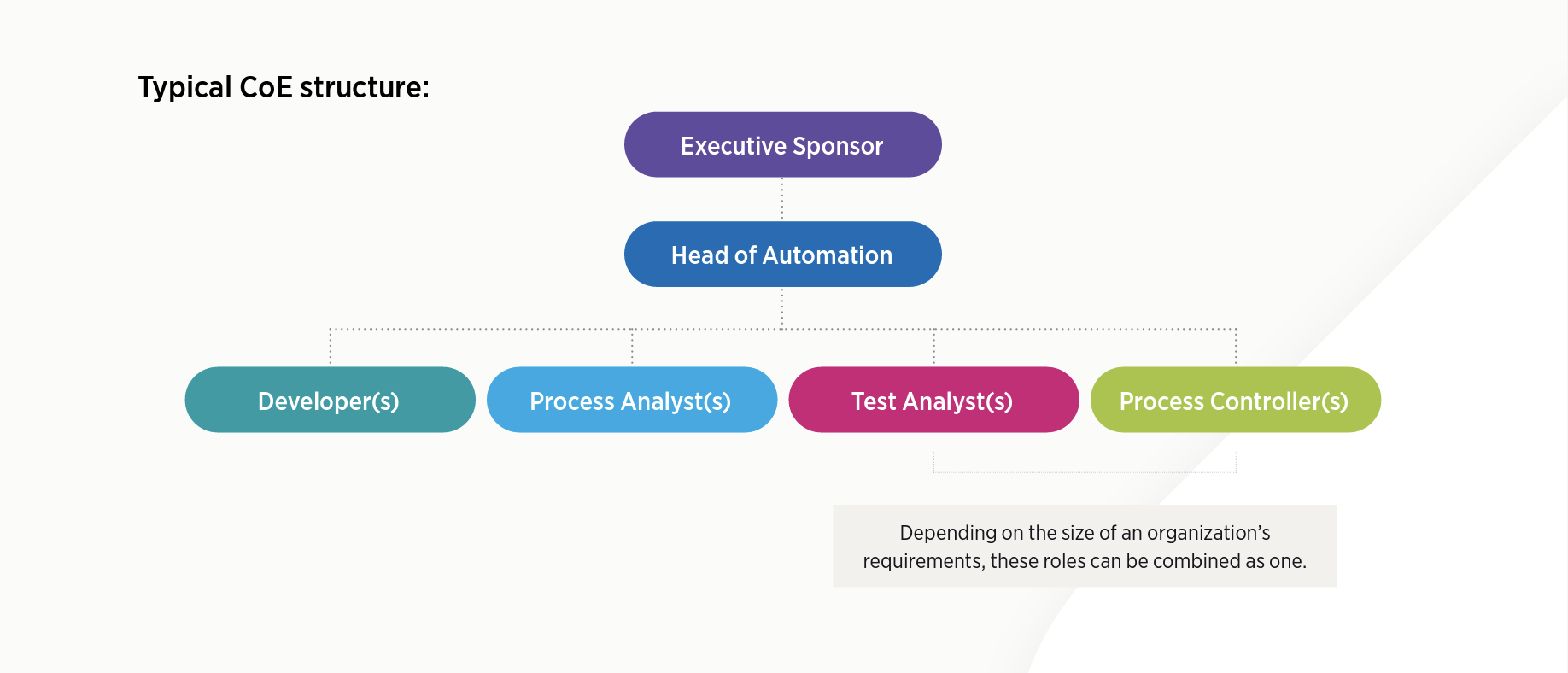 RPA Center of Excellence Structure